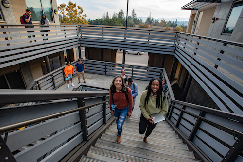 students walking up steps